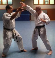 Sensei Moser Michael 1